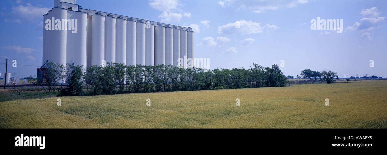 Les jeunes et les silos à blé KANSAS Banque D'Images