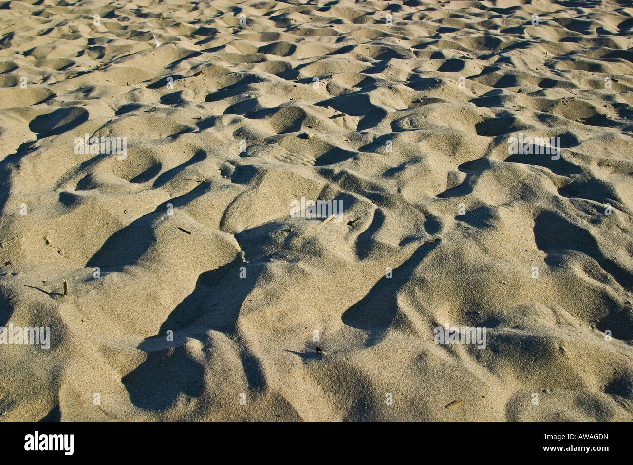 Plage de sable sale close up Banque D'Images