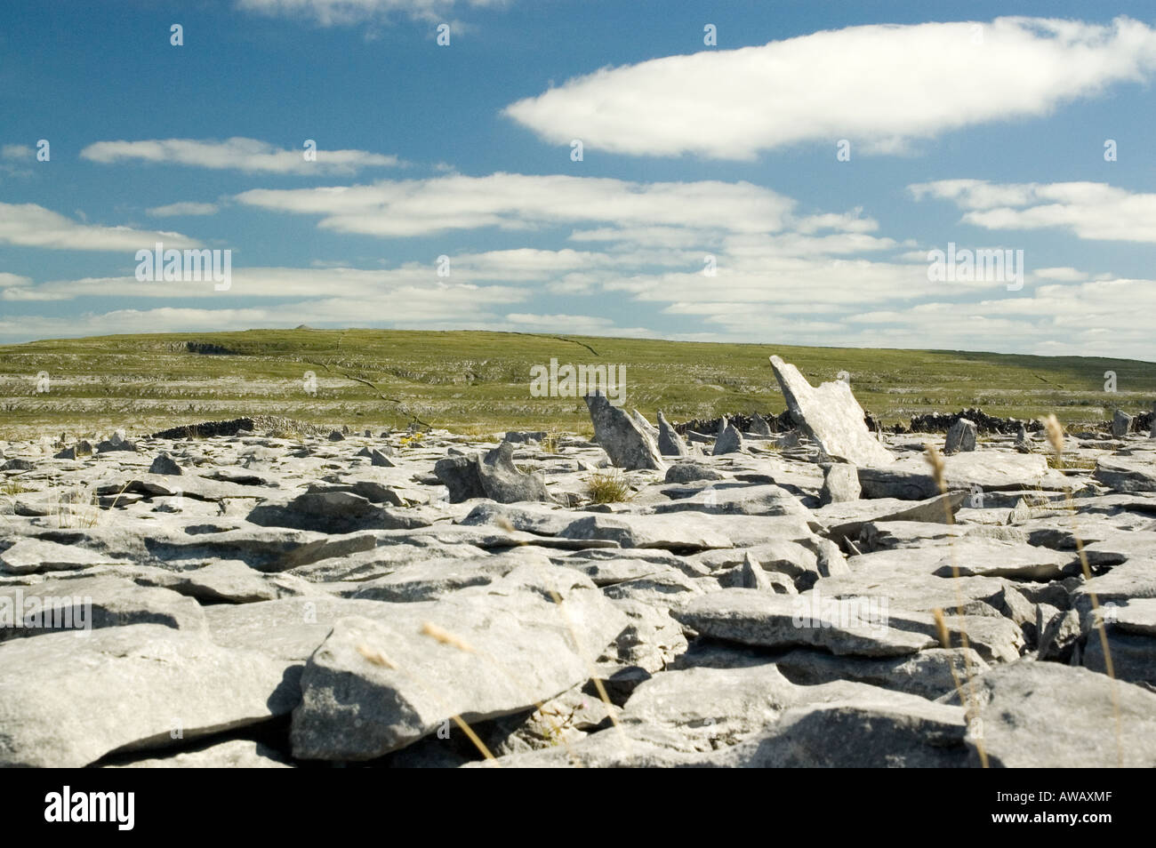 Lapiez dans le Burren, comté de Clare Banque D'Images