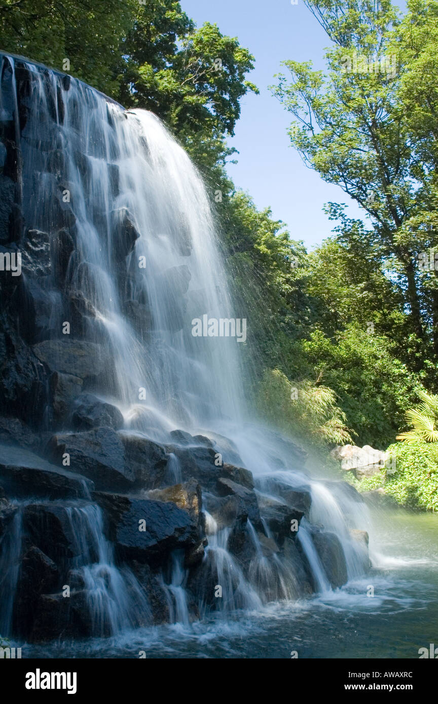 Chute d'Iveagh Gardens, Dublin, Irlande Banque D'Images