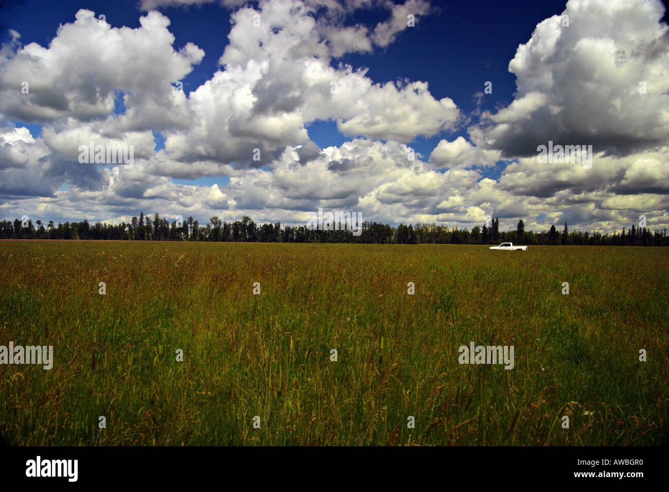 Ranch10 Banque D'Images