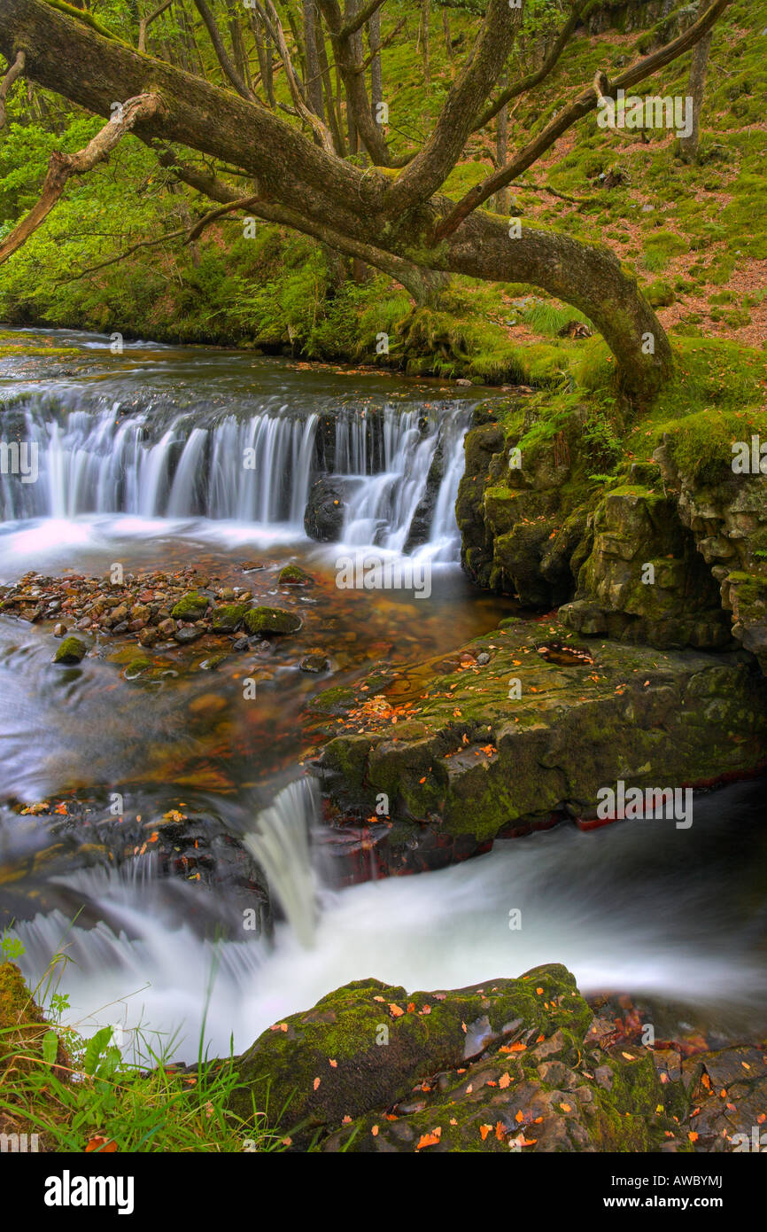 Horseshoe Falls dans le parc national de Brecon Beacons, le Pays de Galles Banque D'Images