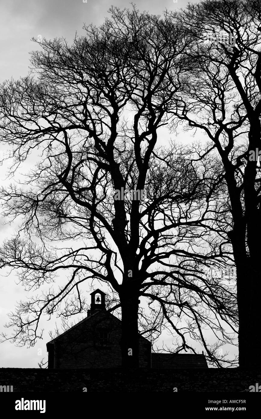 Waitby la silhouette des arbres de chêne et de l'école. La région de Cumbria. UK Banque D'Images