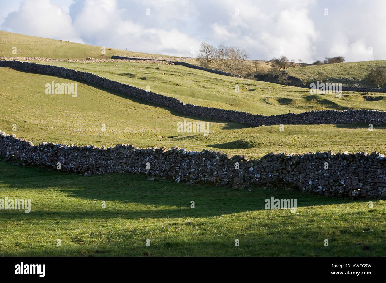 Champs de Cumbrie et murs en pierre sèche à l'extérieur de waitby village. , Cumbria (Royaume-Uni) Banque D'Images