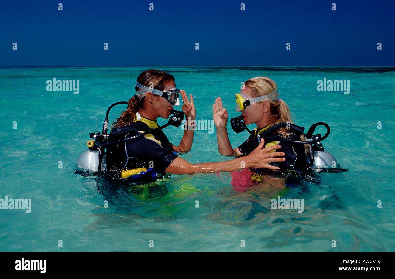 Au cours de plongée Maldives Maldives atoll de Meemu Medhufushi Océan Indien Banque D'Images