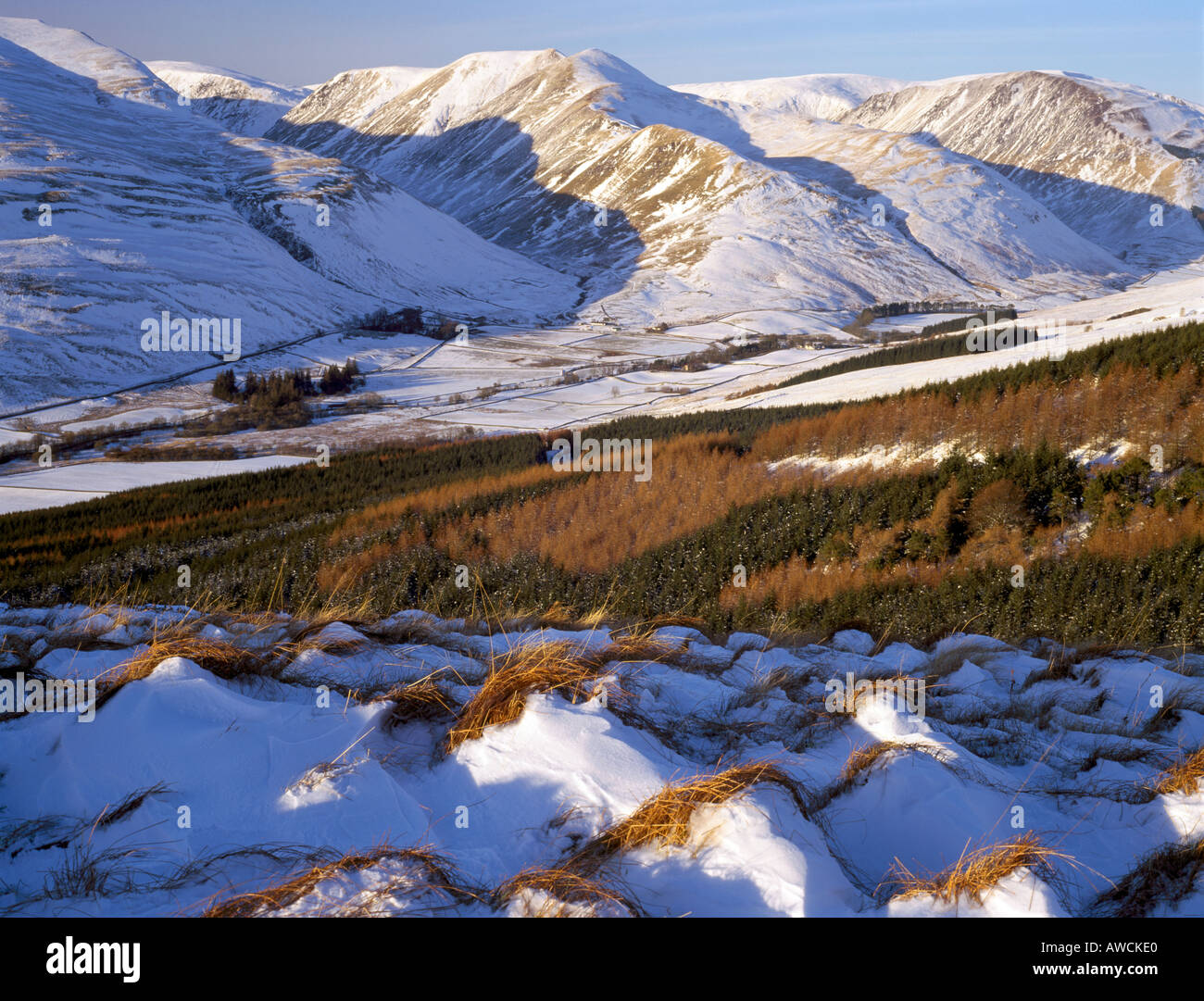 Snow Moffat Hills Banque D'Images