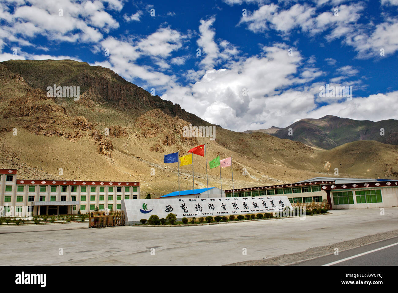 Longhope ferme, vivre l'élevage, entre Gyantse et Dangxiong, Tibet Banque D'Images