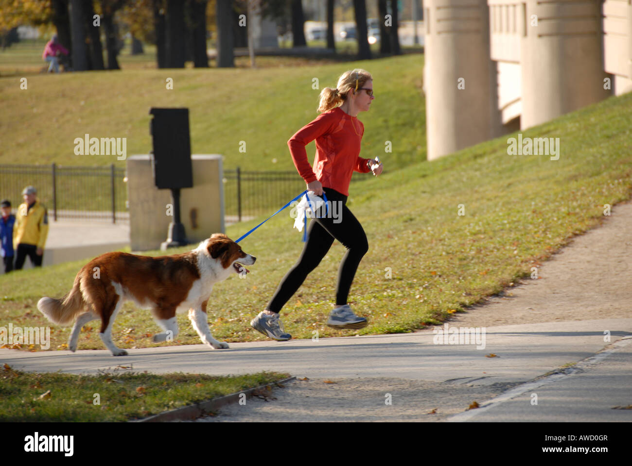 Les femmes promènent leurs chiens sur Chicago's waterfront. Banque D'Images