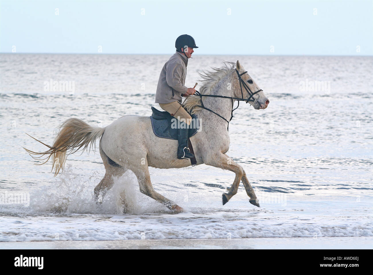 Horse Rider éclaboussant par les vagues sur la plage Utah Normandie France Banque D'Images