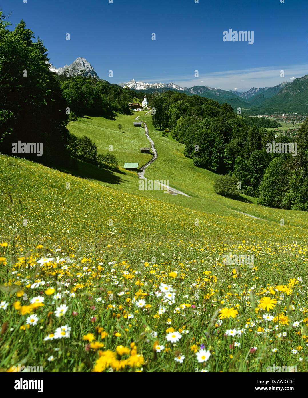 Près de sentier de randonnée Wamberg, Waxenstein et Daniel, Garmisch-Partenkirchen, Allemagne Banque D'Images