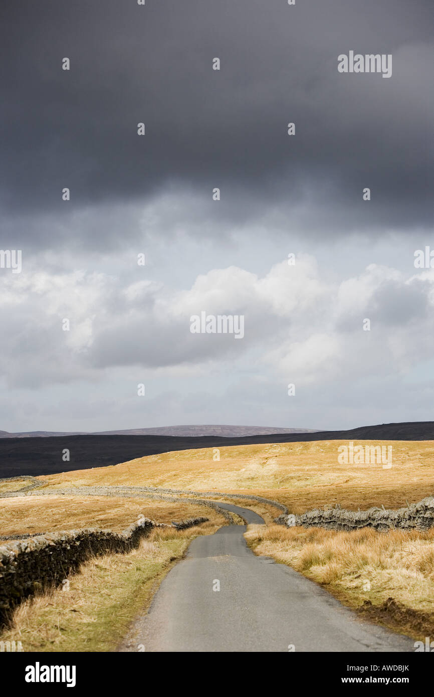 Stonesdale Moor, Yorkshire Dales, Angleterre Banque D'Images