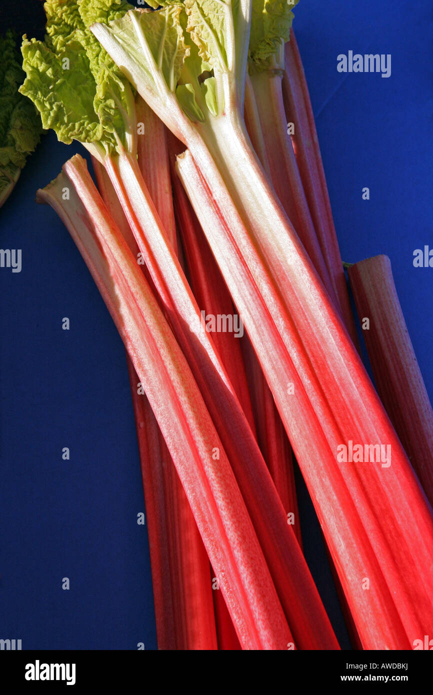 Bâtonnets de rhubarbe sur fond bleu Banque D'Images