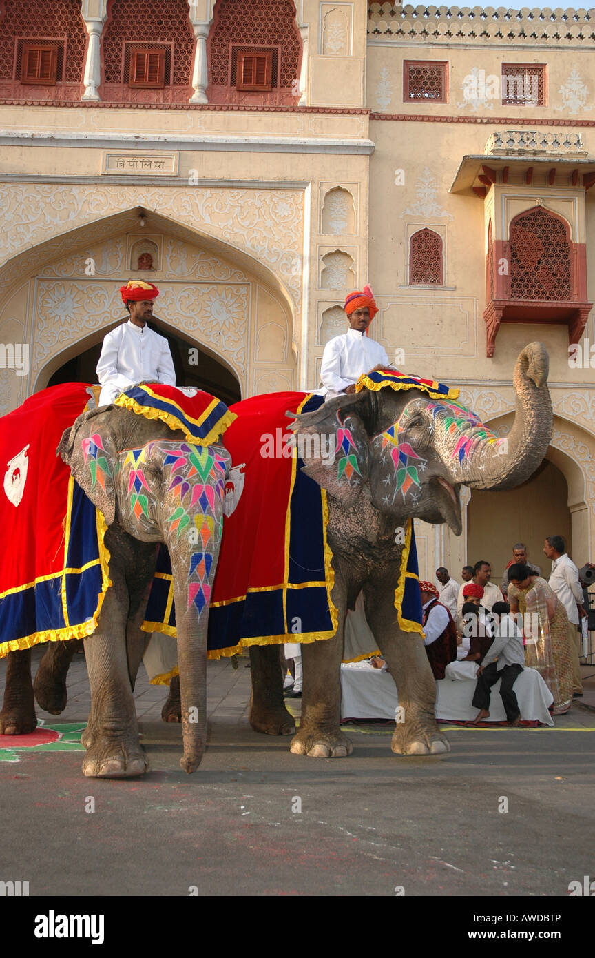 Les éléphants au Festival de Gangaur, Jaipur, Rajasthan, Inde Banque D'Images