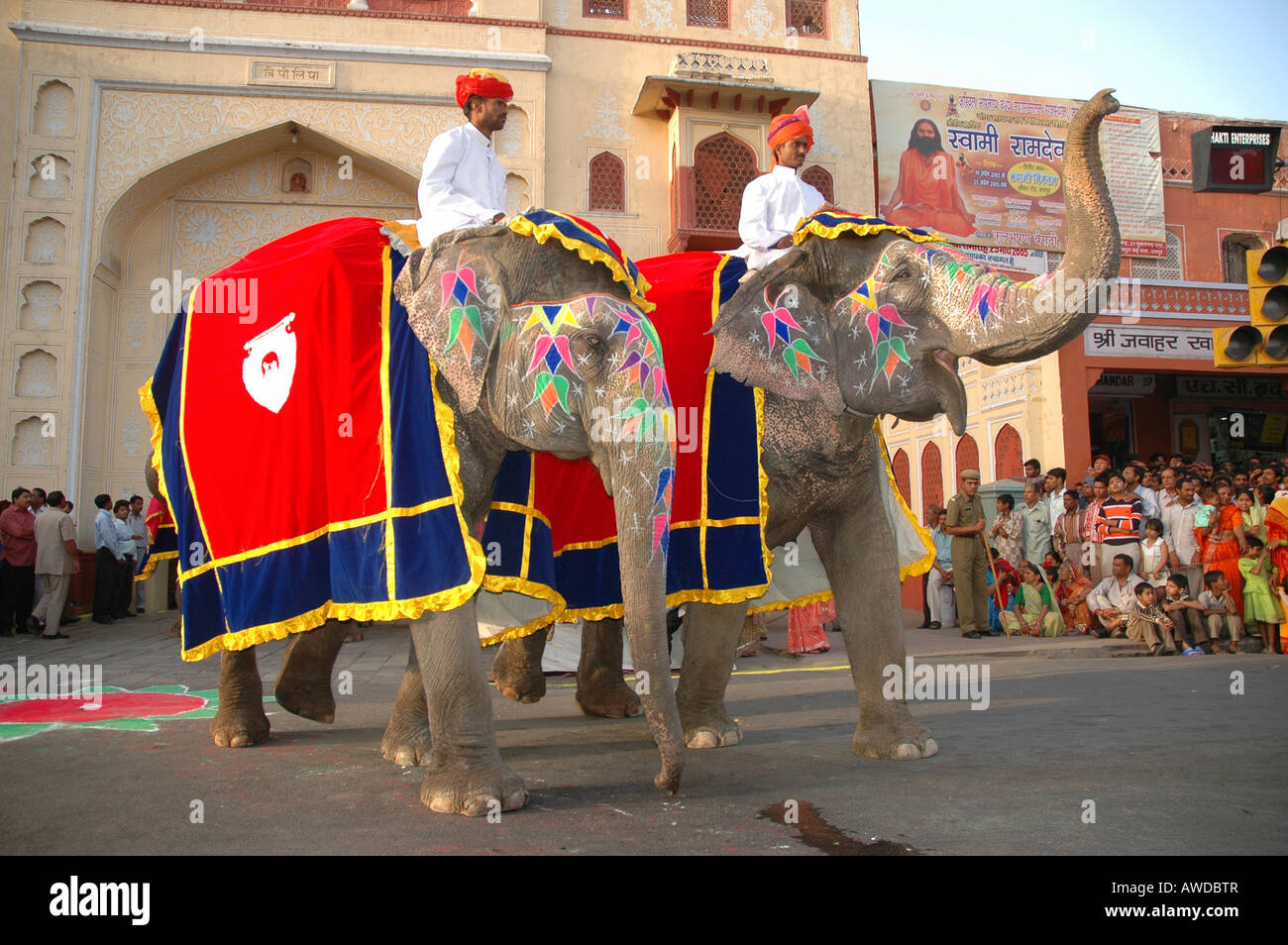 Les éléphants au Festival de Gangaur, Jaipur, Rajasthan, Inde Banque D'Images