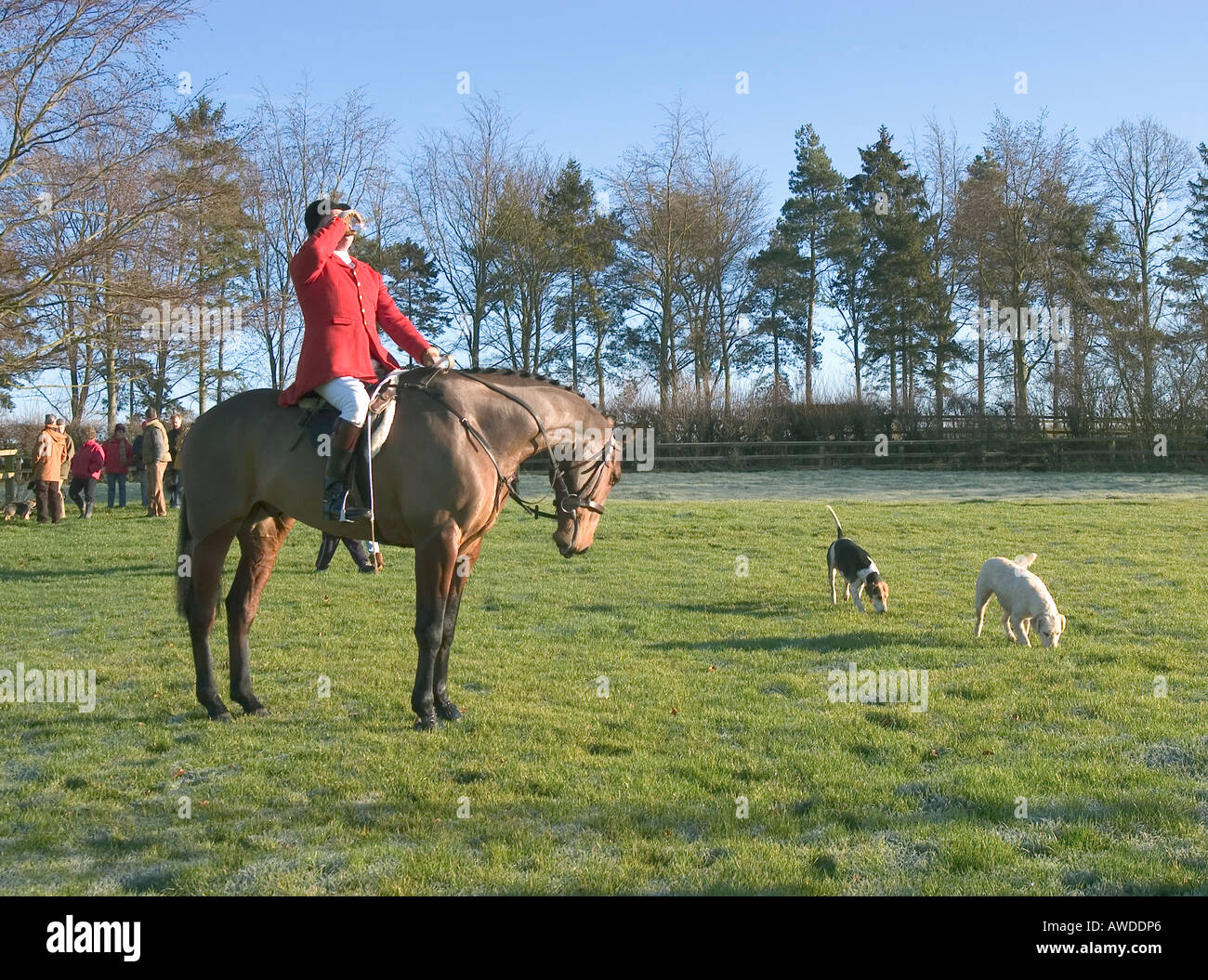 Sherry boire au boxing day hunt rencontrez en Hertfordshire Banque D'Images