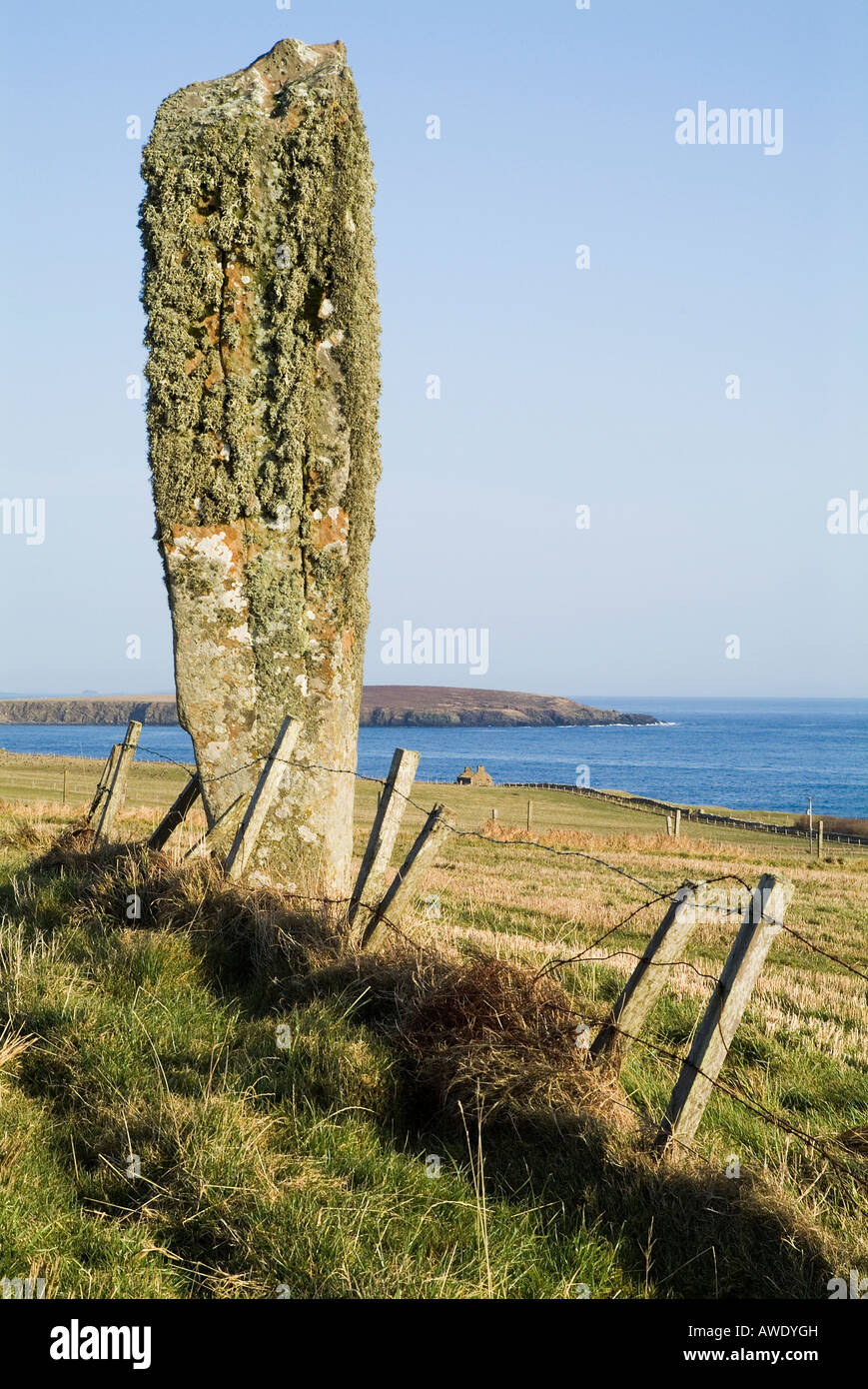 Dh Eastside SOUTH RONALDSAY ORKNEY standing stone in field Banque D'Images