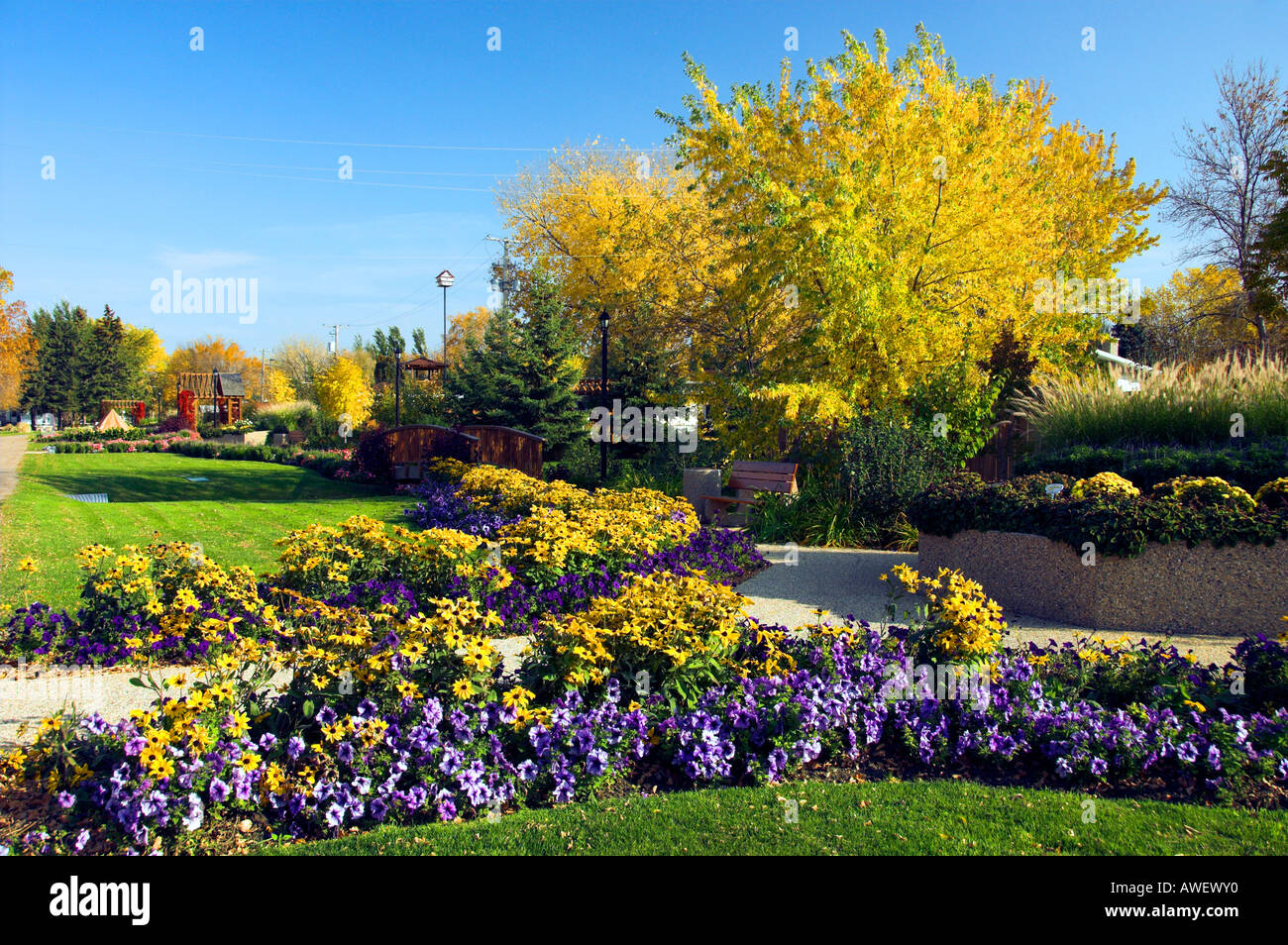 La couleur des feuilles d'automne annuel et de fleurs dans un petit parc dans la ville de Winkler Manitoba Canada Banque D'Images