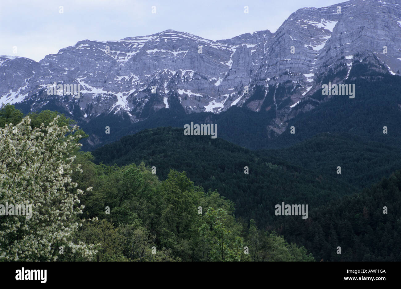 Des paysages de montagne dans les montagnes des Pyrénées en Catalogne Espagne Banque D'Images