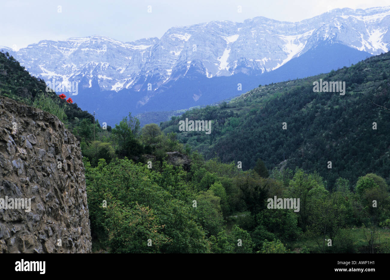 Scenic sur la montagne dans les Pyrénées Espagne Banque D'Images