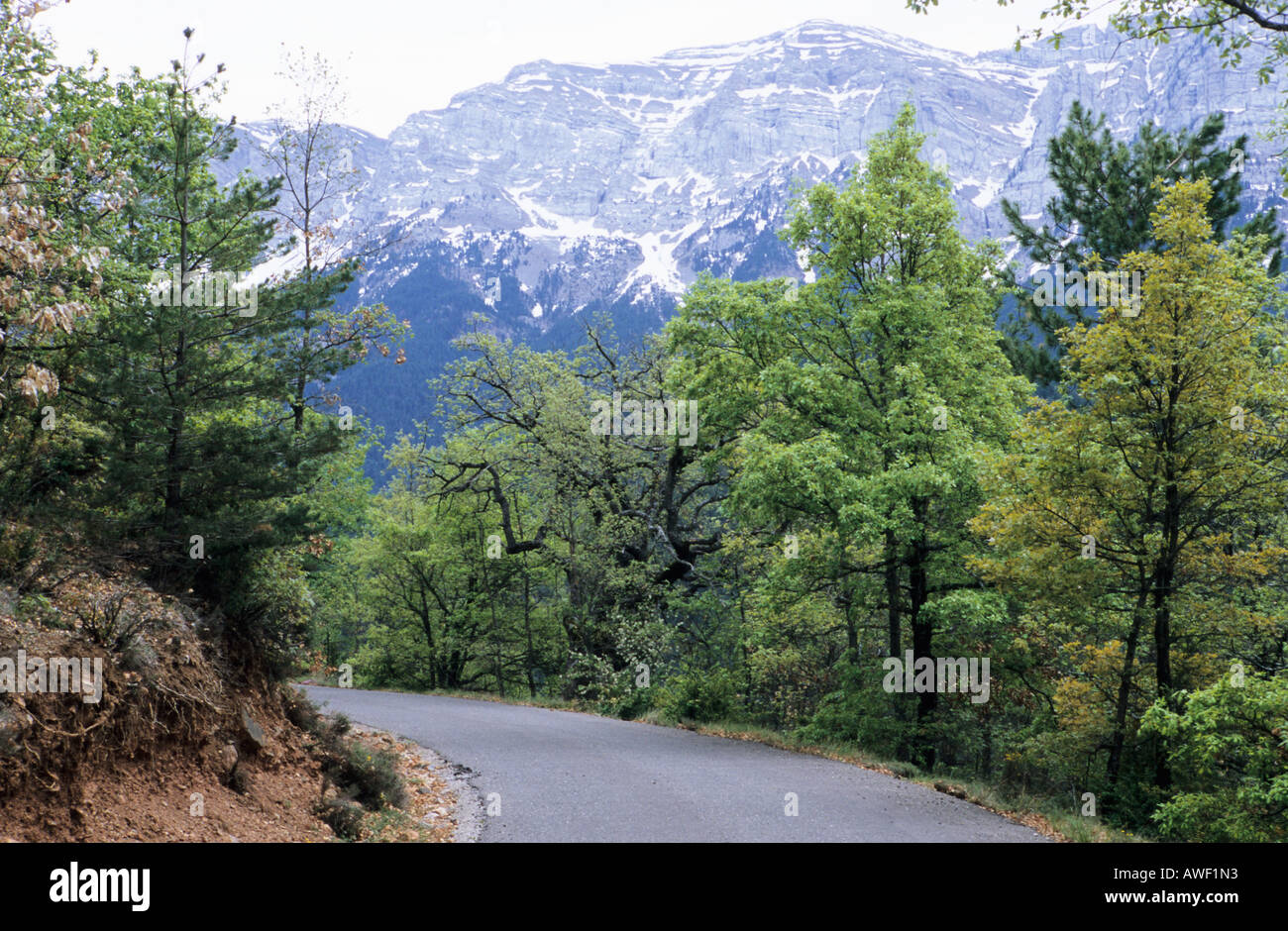 Vue panoramique sur la montagne en bordure de la Cava Pyrénées Espagne Banque D'Images