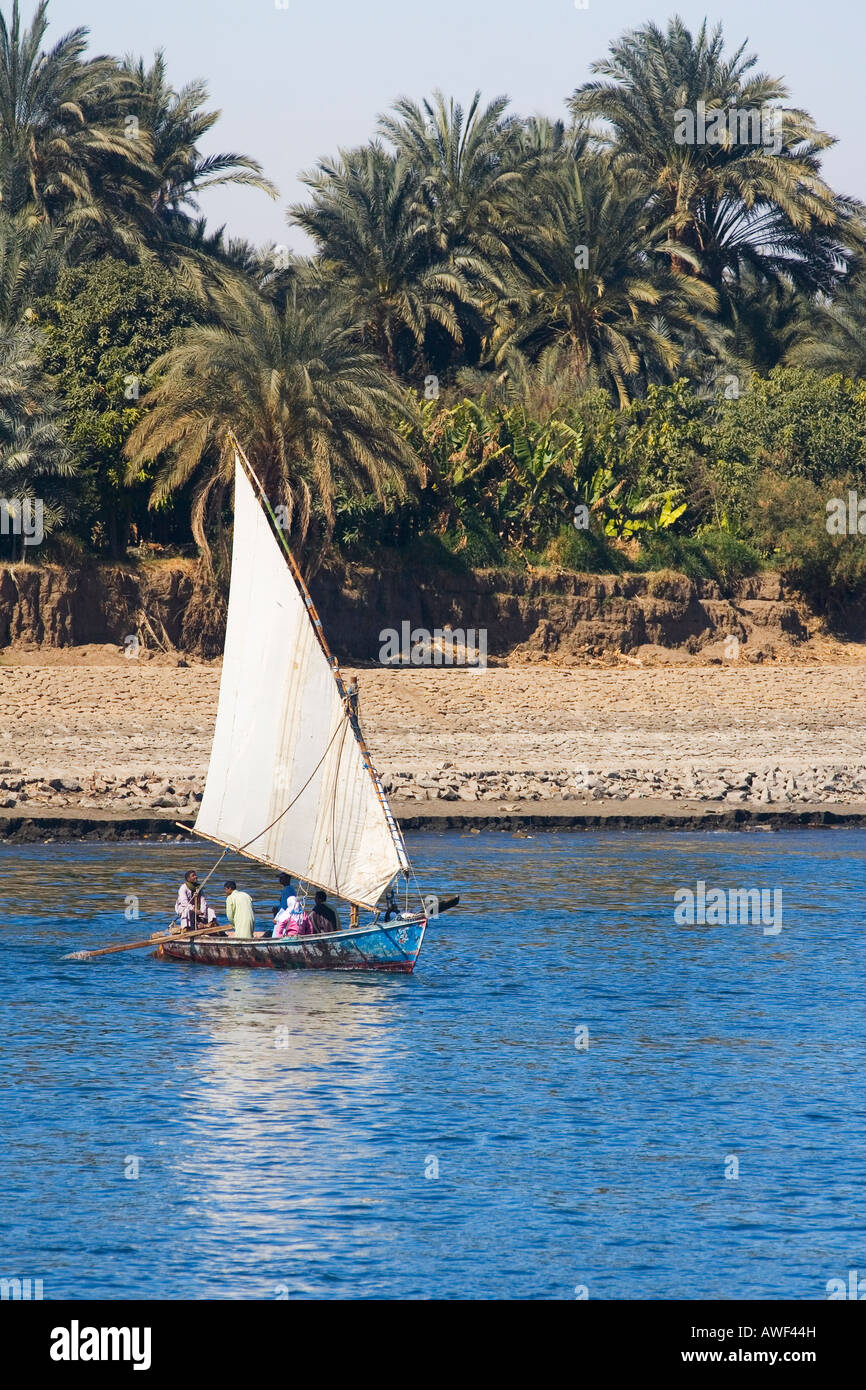 Felouque naviguant sur le Nil aux beaux jours avec ciel bleu Egypte Afrique du Nord Banque D'Images