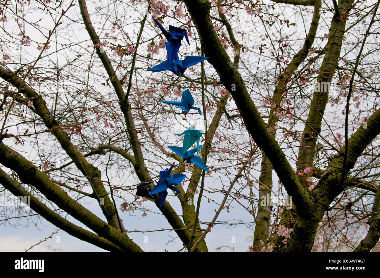 Origami Papier bleu cygnes sur chaîne dans un arbre avec des fleurs sur l'Université de Puget Sound à Tacoma, WA, USA. Banque D'Images