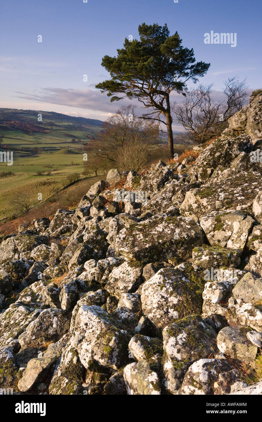 Loudoun HIll, un bouchon volcanique, dans l'Ayrshire, Ecosse, le site de plusieurs batailles historiques Banque D'Images