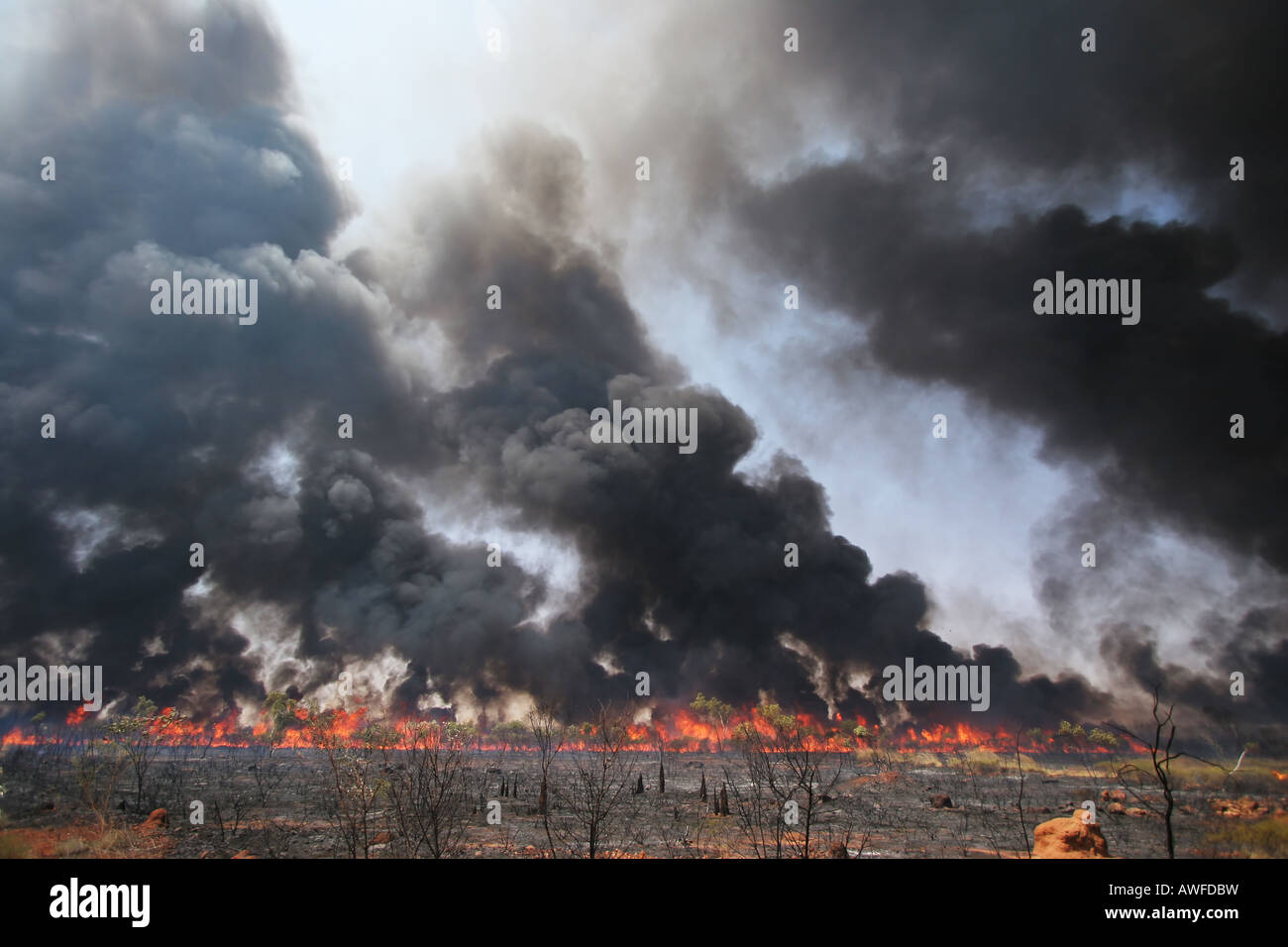 Feu de brousse Banque D'Images