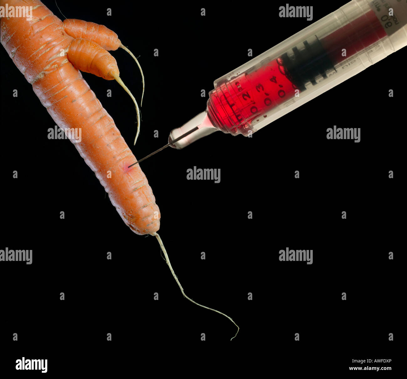 Symbole de la seringue Spritze aliments génétiquement modifiés Banque D'Images