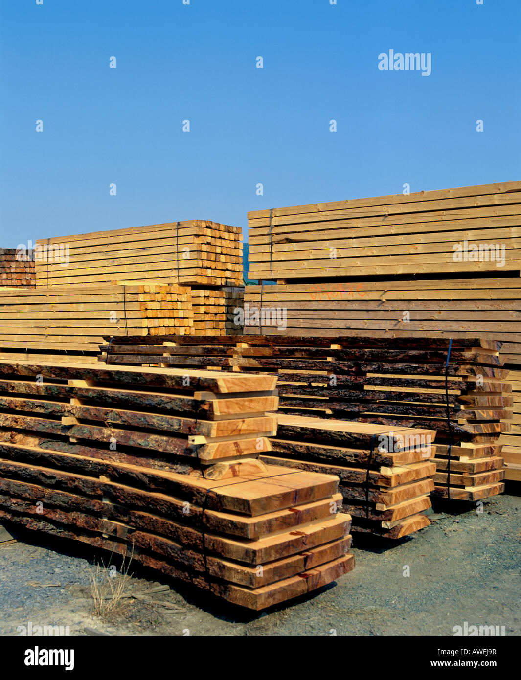 Stockage du bois dans une scierie, l'industrie du bois Banque D'Images