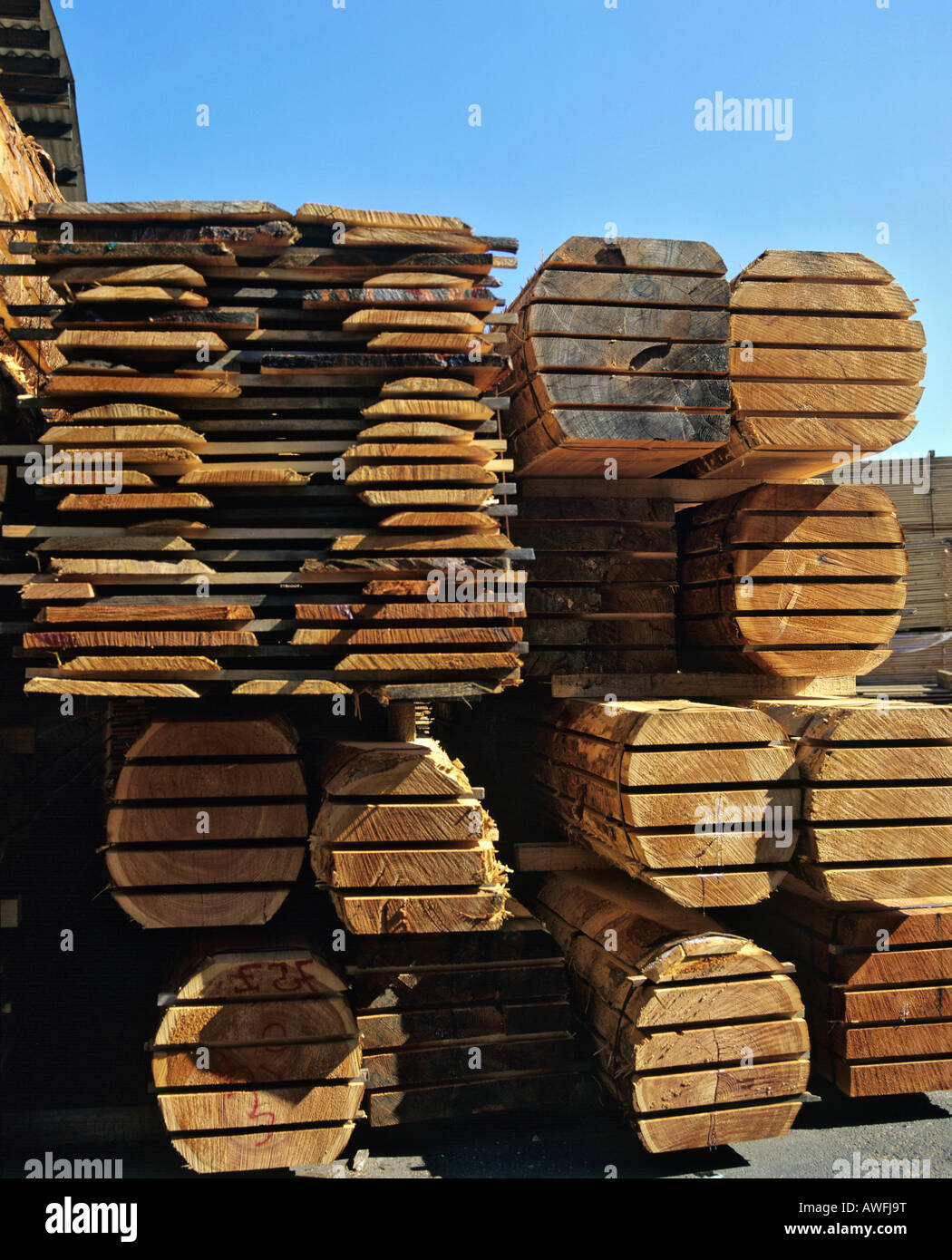 Stockage du bois dans une scierie, l'industrie du bois Banque D'Images