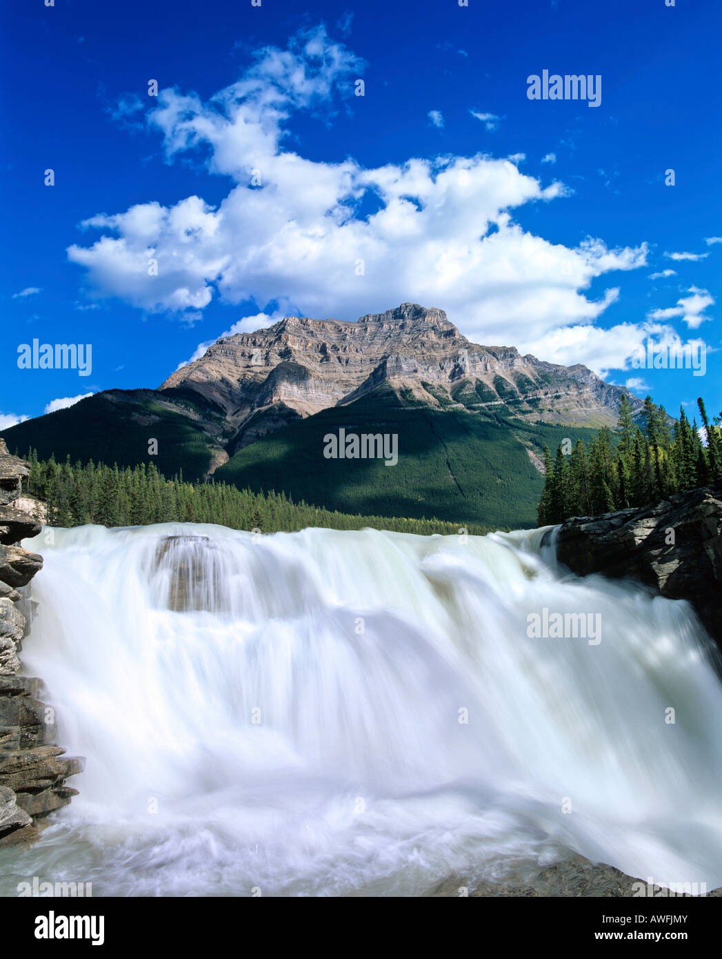 Les chutes Athabasca, rivière Athabasca, Jasper National Park, Alberta, Canada Banque D'Images