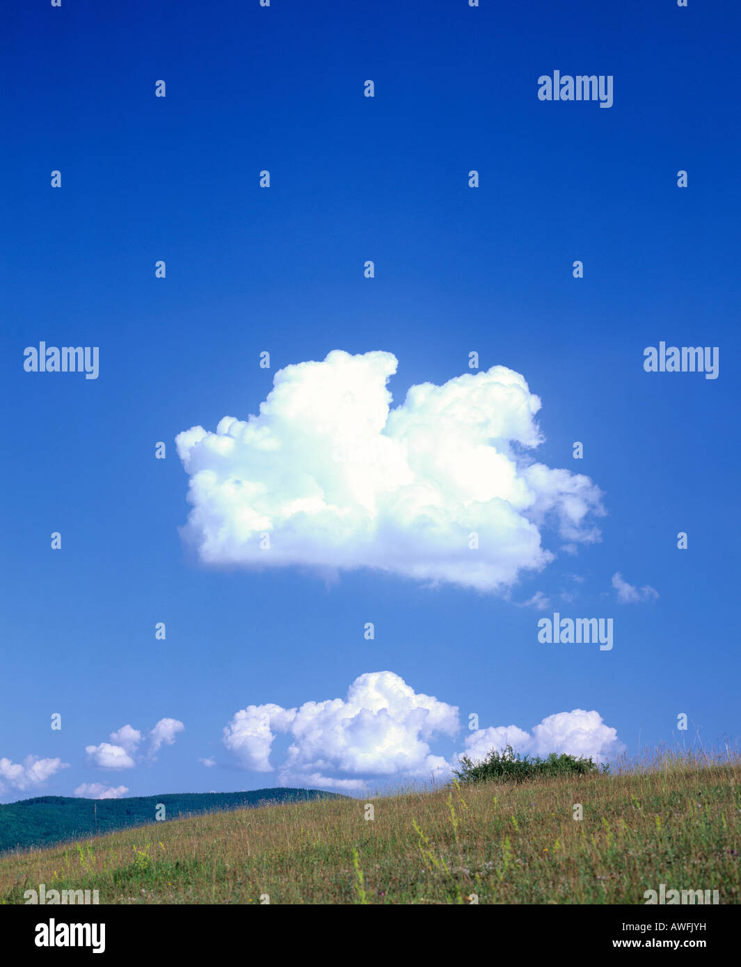 Cumulus dans un ciel bleu Banque D'Images