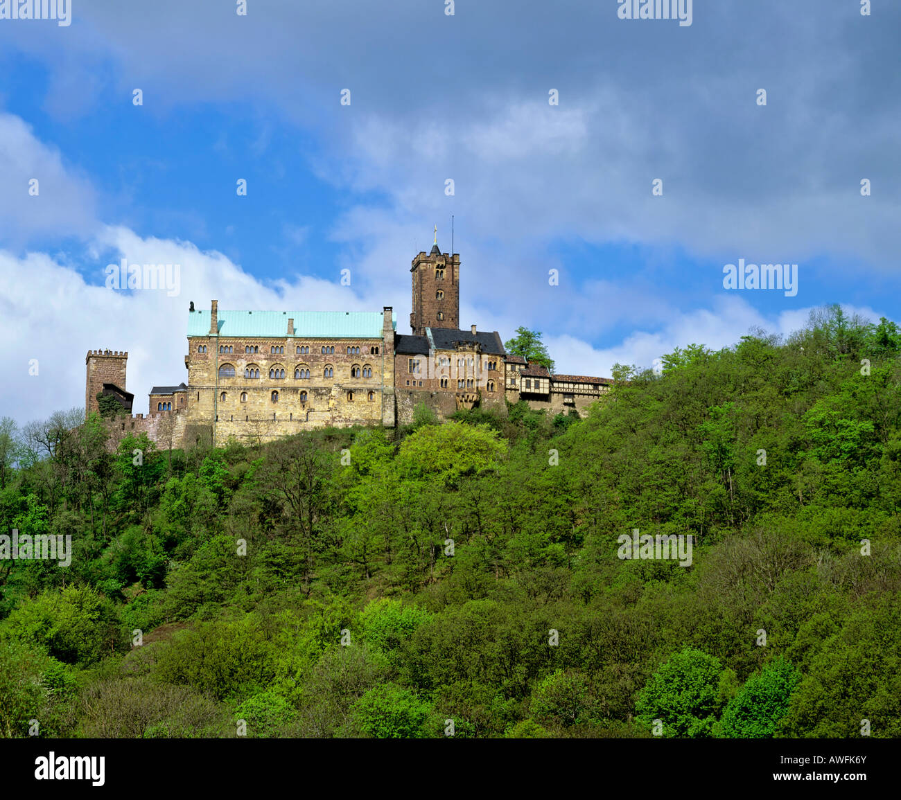 Château de Wartburg, Eisenach, forêt de Thuringe, Thuringe, Allemagne, Europe Banque D'Images