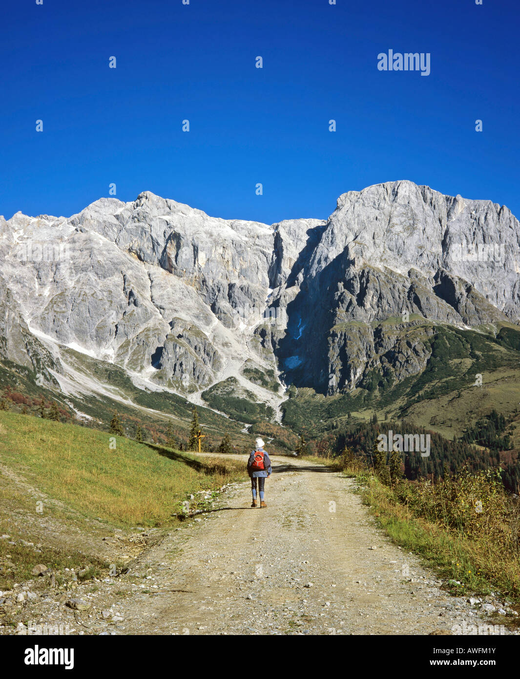 Randonneur sur un chemin à travers les Alpes de Berchtesgaden, Salzburger Land, Autriche, Europe Banque D'Images