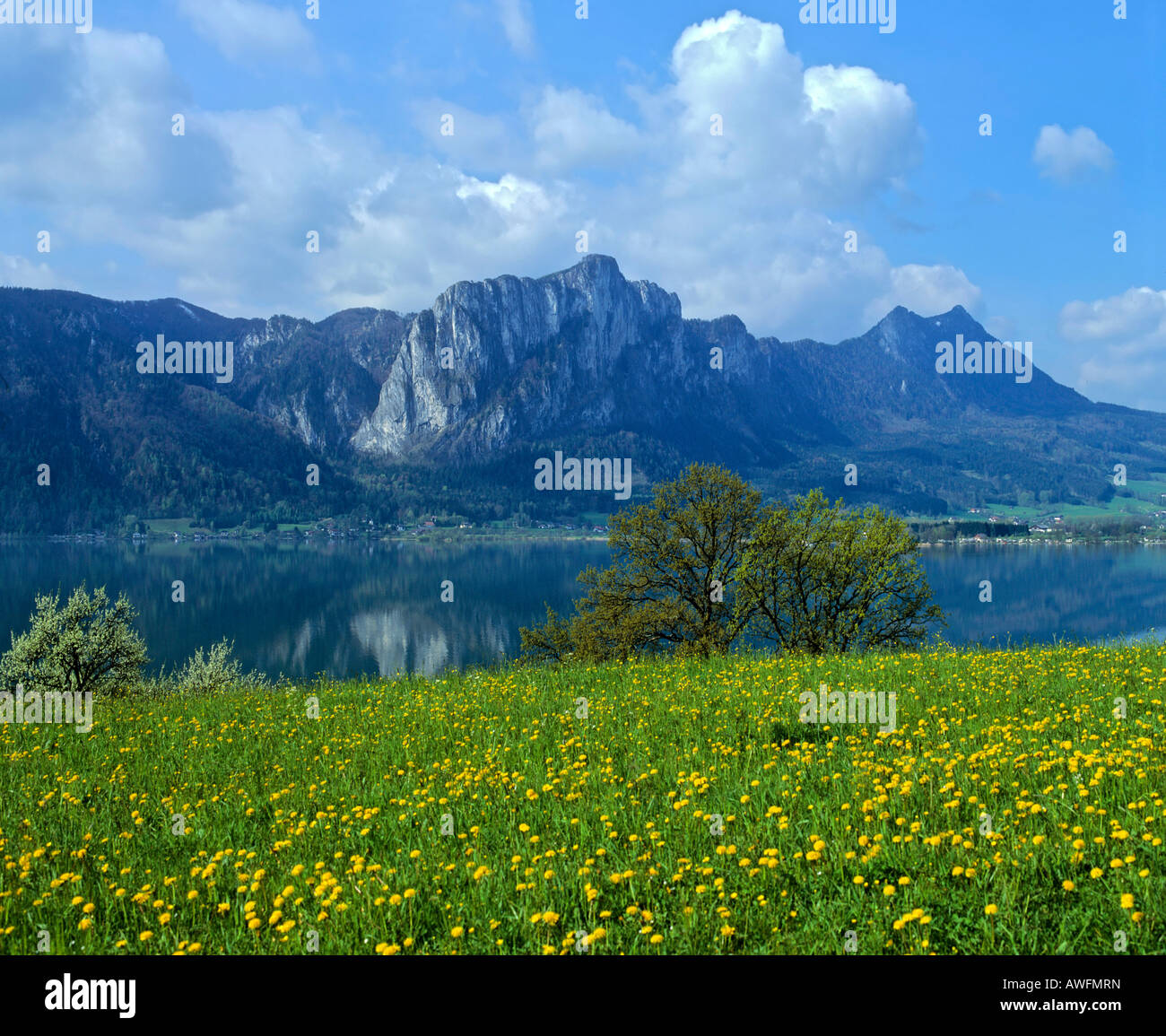 Lac de Mondsee (lune) et Mt. Drachenwand au printemps, en Haute-Autriche, Autriche, Europe Banque D'Images