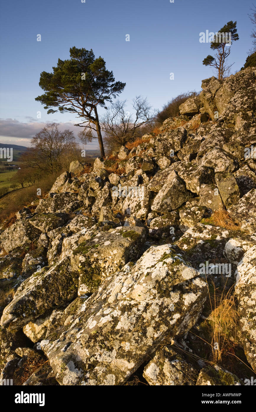 Loudoun HIll, un bouchon volcanique, dans l'Ayrshire, Ecosse, le site de plusieurs batailles historiques Banque D'Images