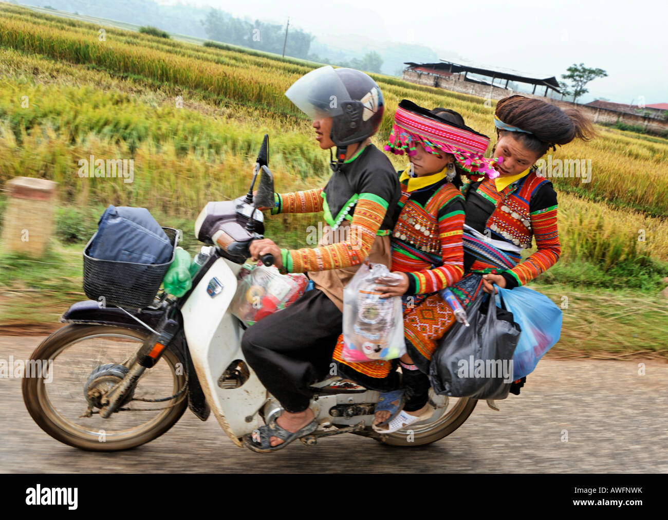 La famille de la 'Thaïs' en vêtements traditionnels équitation un cyclomoteur sur l'ancienne route n°6, Vietnam, Asie Banque D'Images