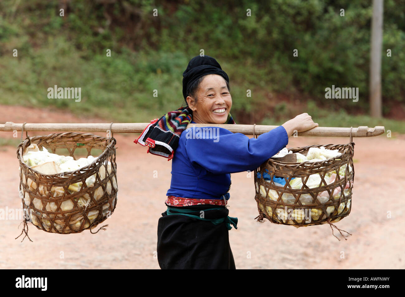 L'agriculteur récolte pour le marché, Chien Koi, Province de Son La, Vietnam, Asie Banque D'Images