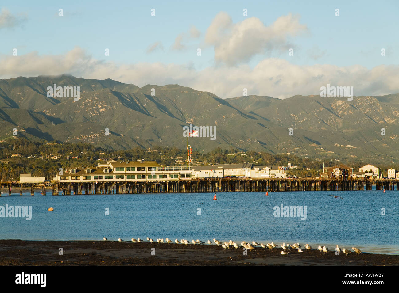CALIFORNIA Santa Barbara mouettes bord de l'eau à marée basse plage ouest Stearns Wharf et montagnes en arrière-plan Banque D'Images