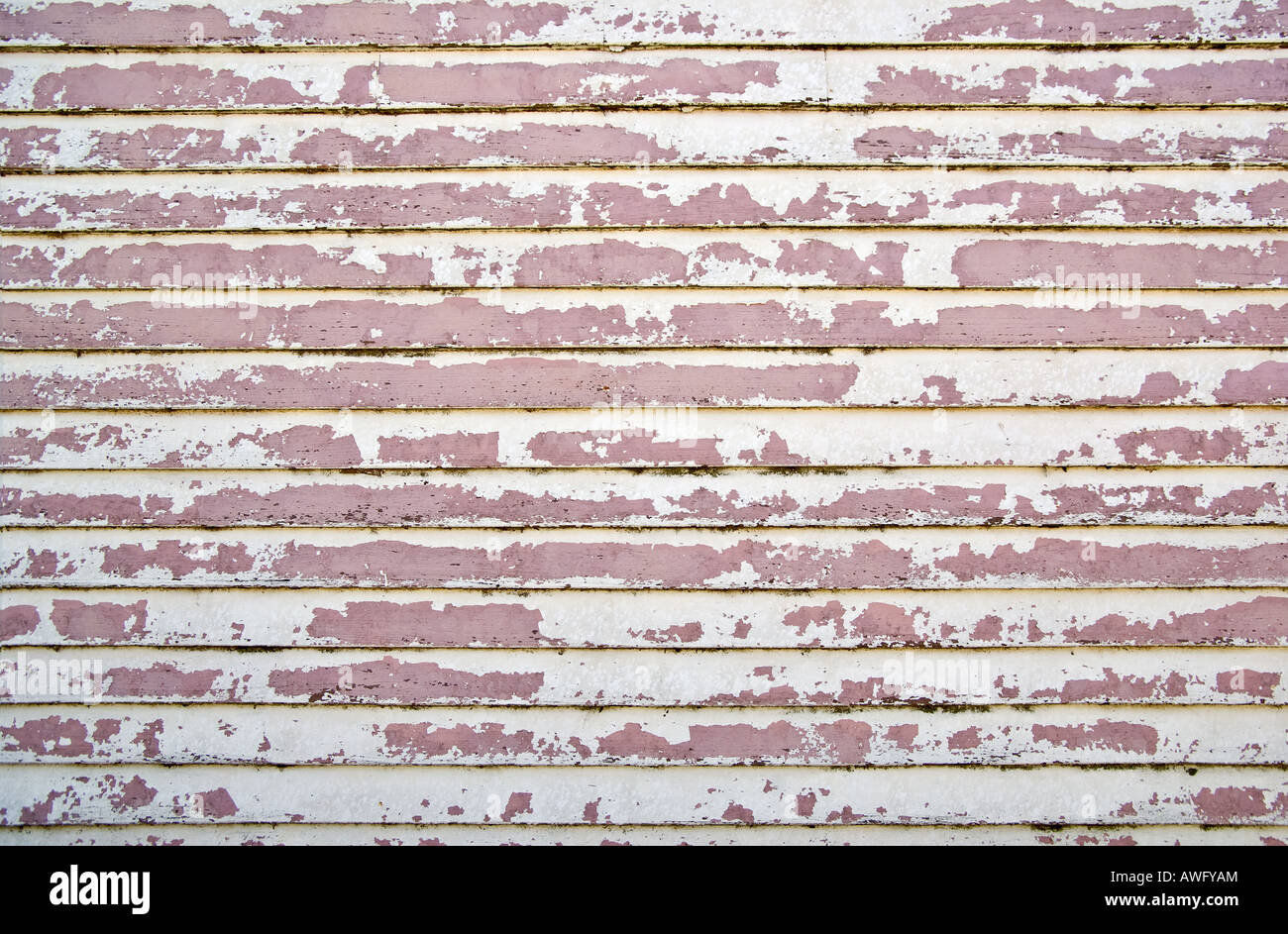 Vieux mur en bois weatherboard toute l'écaillage de la peinture Banque D'Images