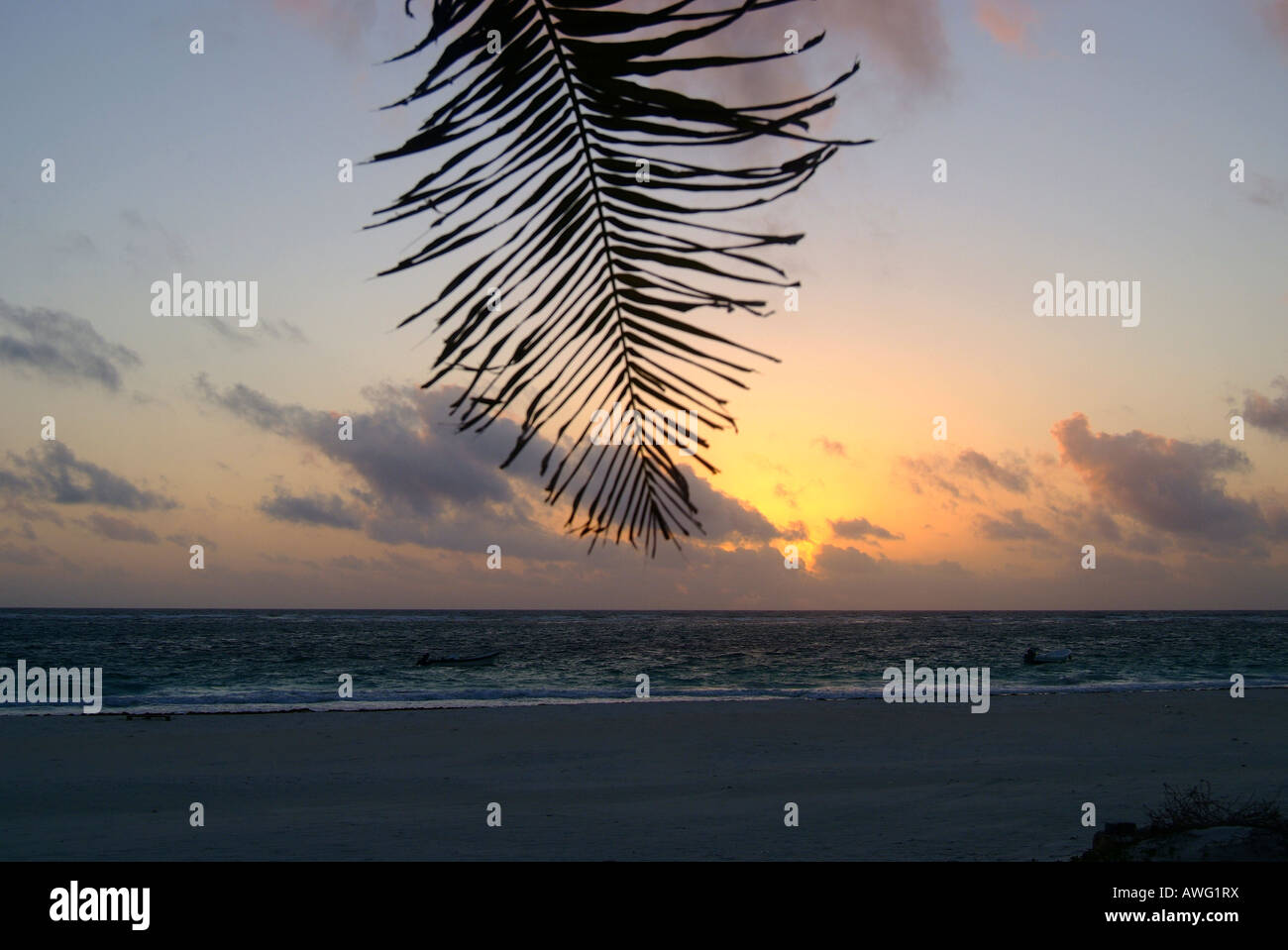 Coucher de soleil sur la plage de Tulum, Yucatan, Mexique Banque D'Images