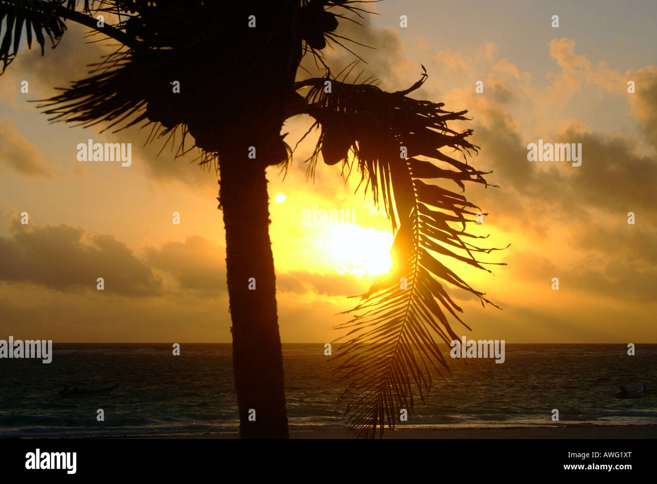 Coucher de soleil sur la plage de Tulum, Yucatan, Mexique Banque D'Images