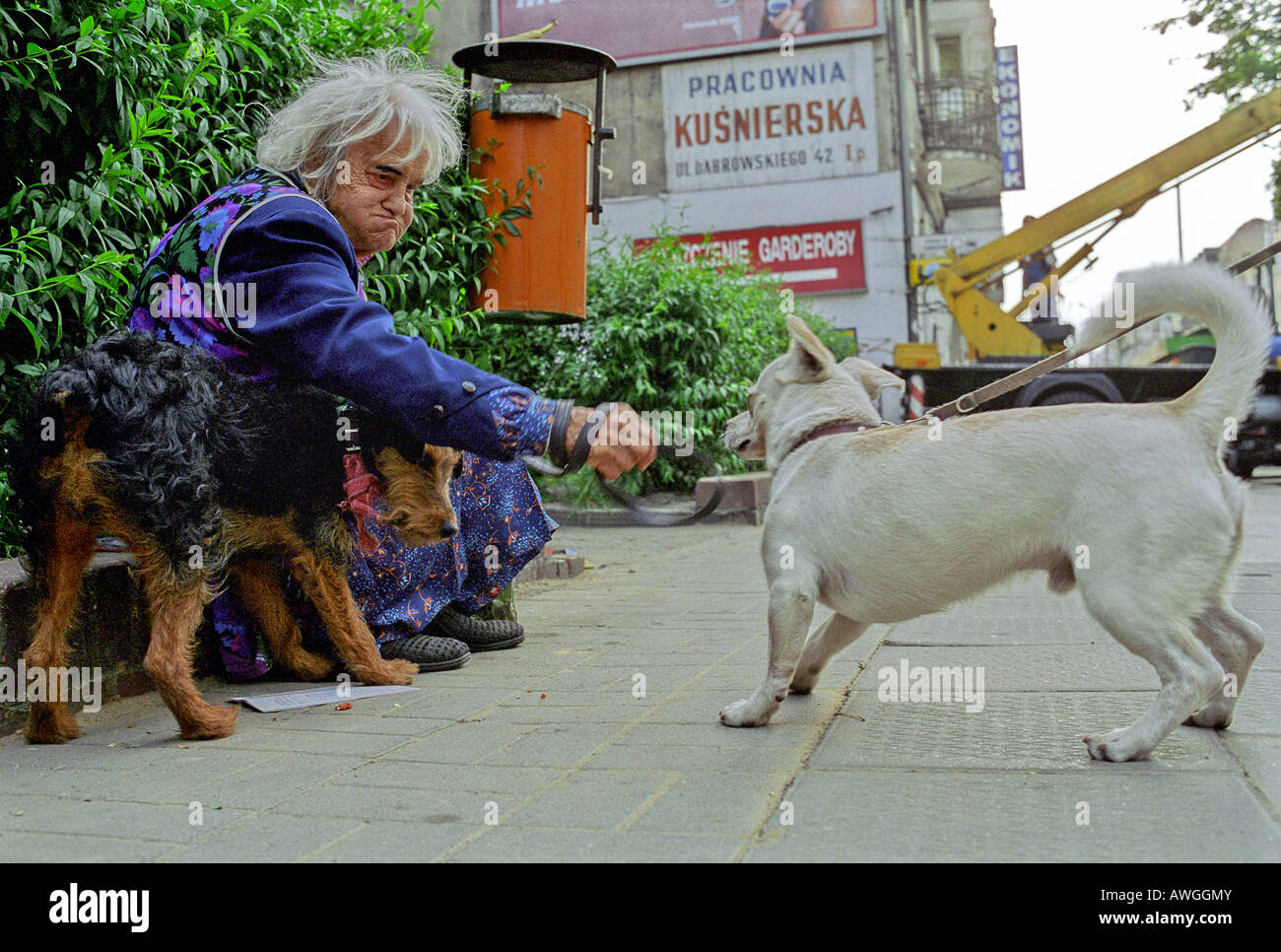 Pauvres, vieille femme avec son chien, Poznan, Pologne Banque D'Images