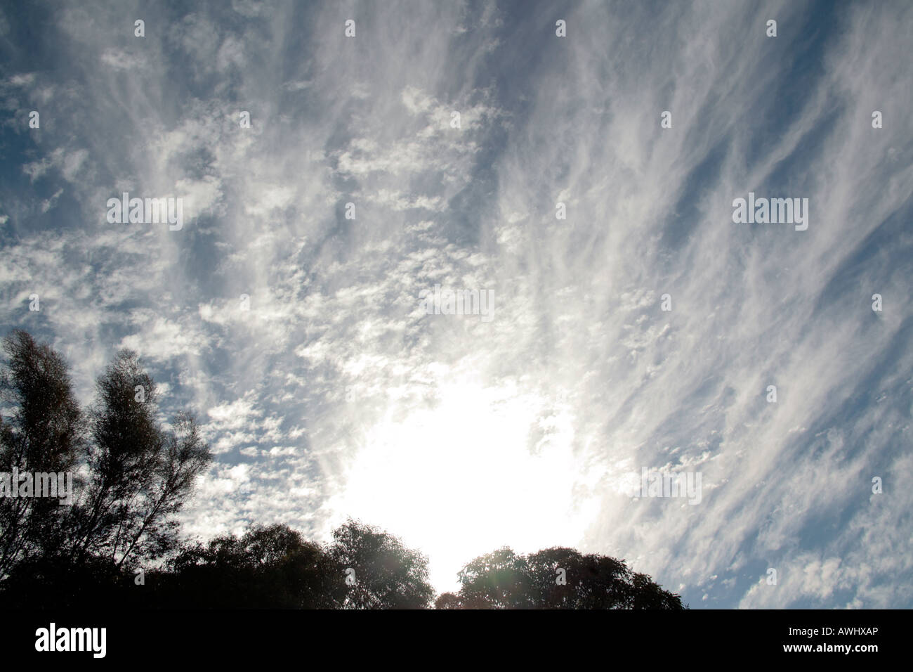 L'Altocumulus floccus et Cirrostratus nuages passant le soleil Banque D'Images