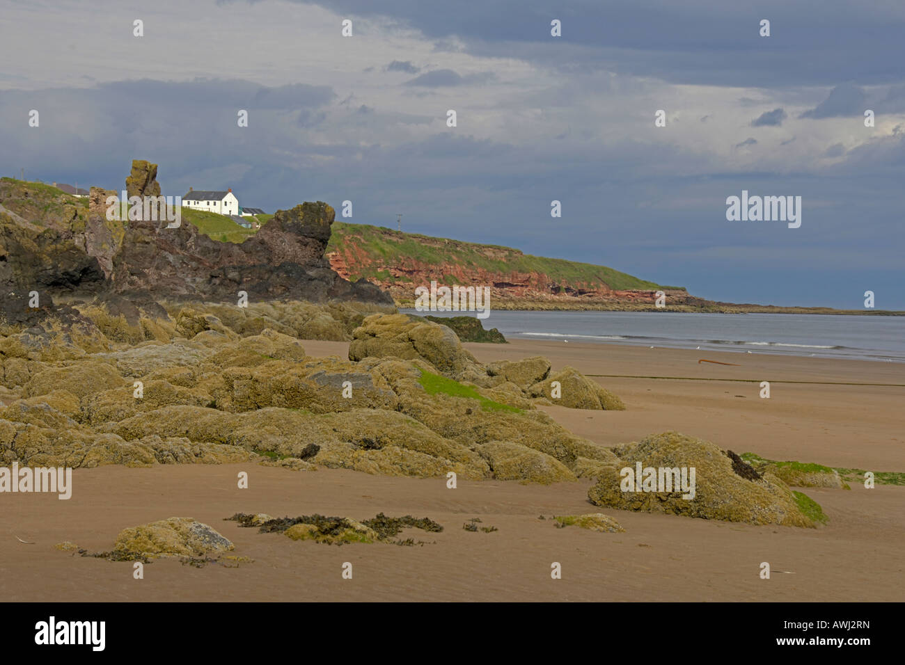 Plage de St Cyrus Aberdeenshire Angus Scotland Août 2007 Banque D'Images