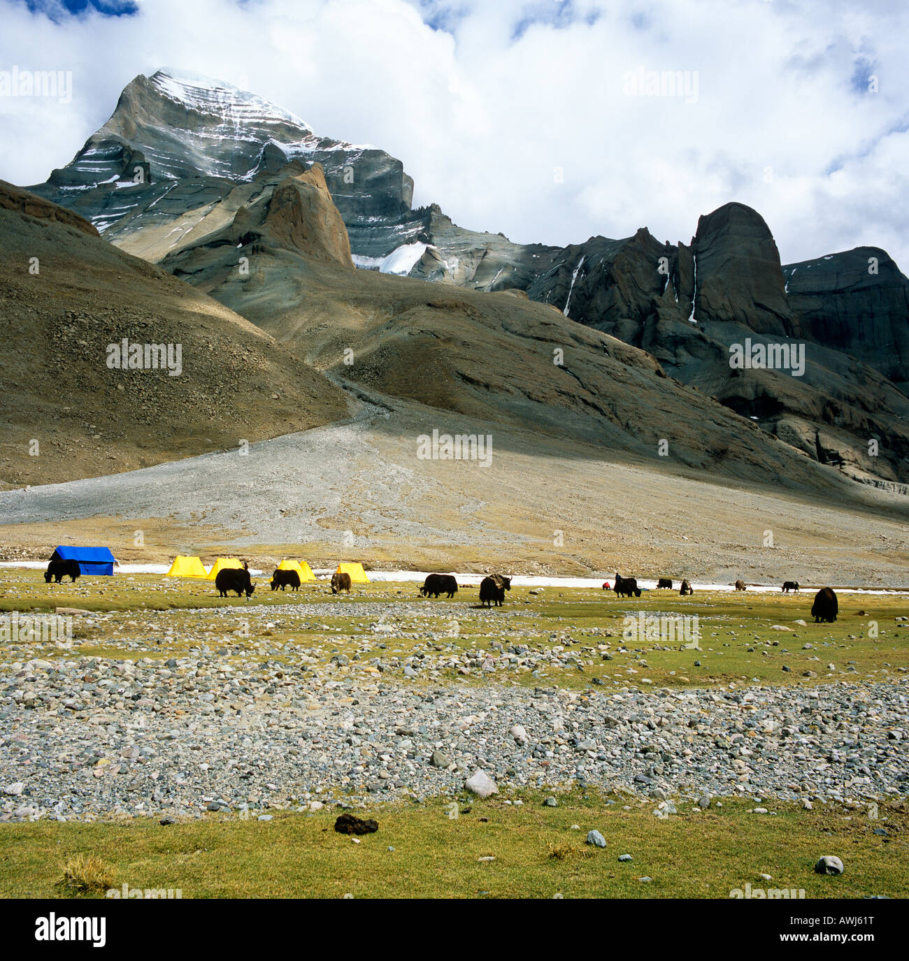 Face Ouest du Mont Kailash avec Yacks et tentes Tibet de l'Asie Banque D'Images