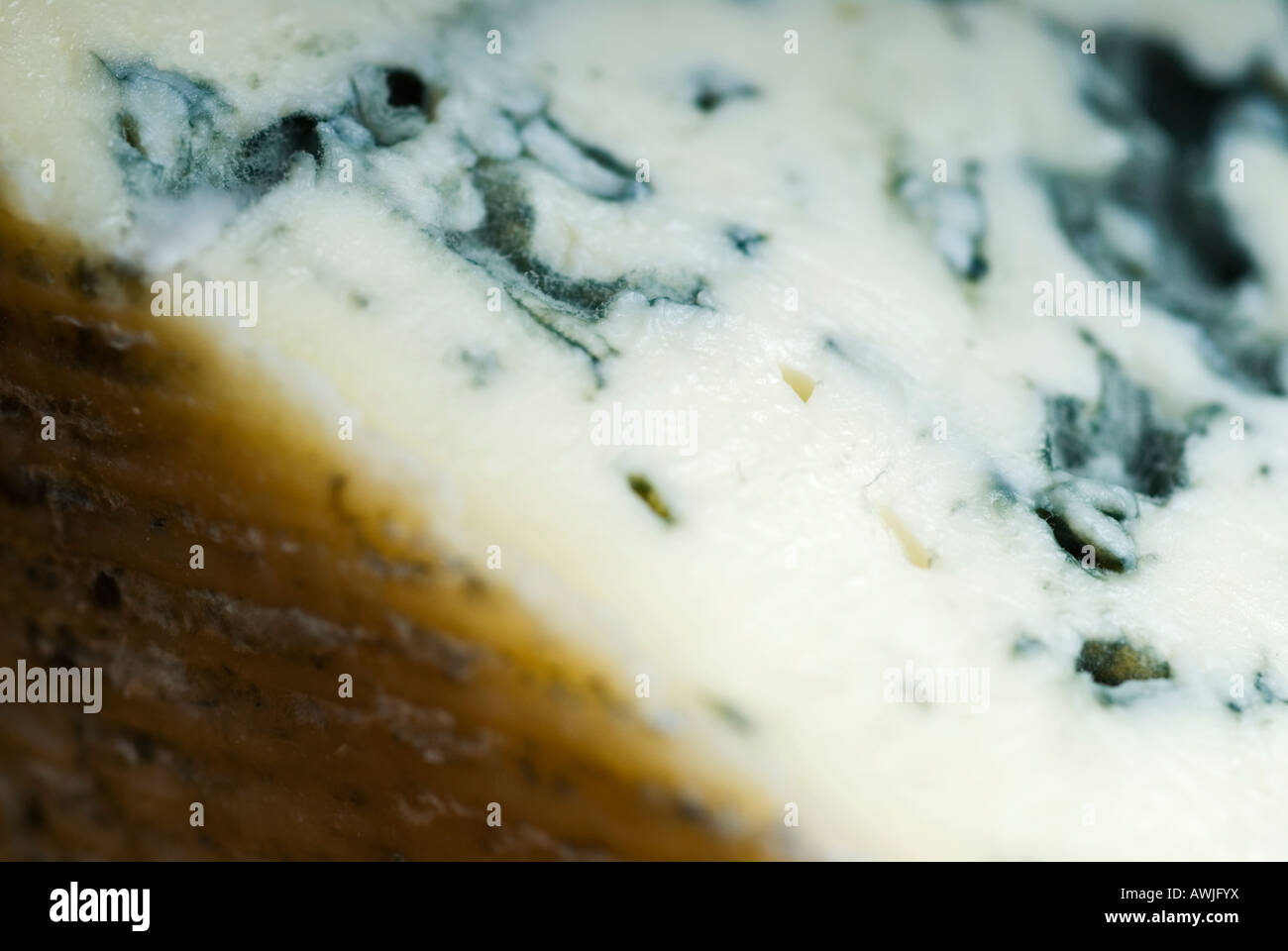 Stock photo d'un morceau de fromage bleu d'Auvergne fromage français savoureux délicieux Banque D'Images