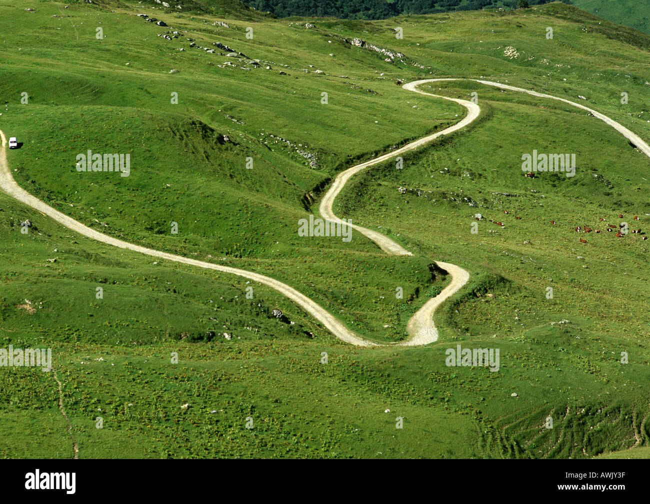 France, Savoie, route sinueuse à travers les collines herbeuses Banque D'Images