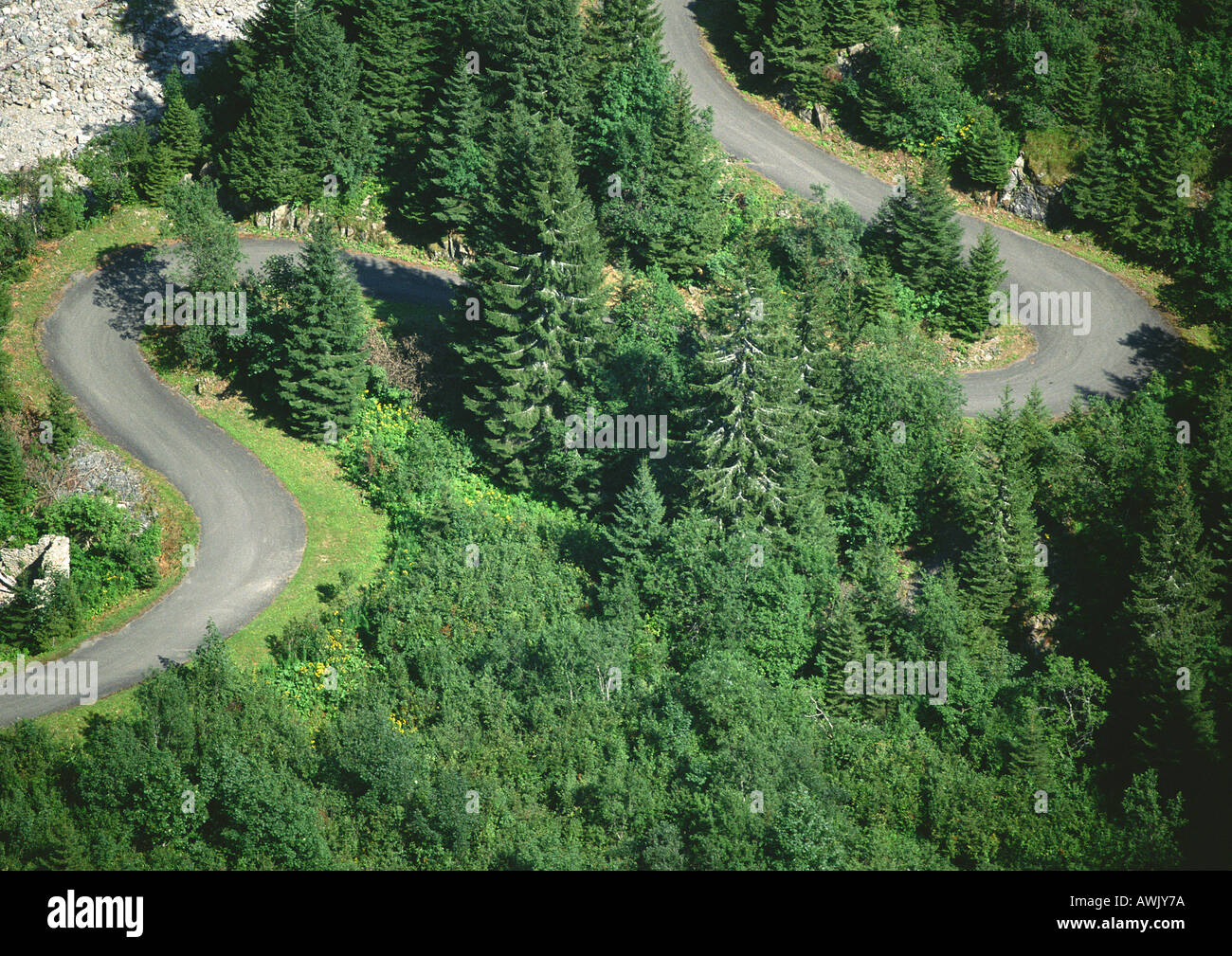 Route qui serpente à travers la forêt, vue aérienne Banque D'Images